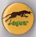 jaguar (01)